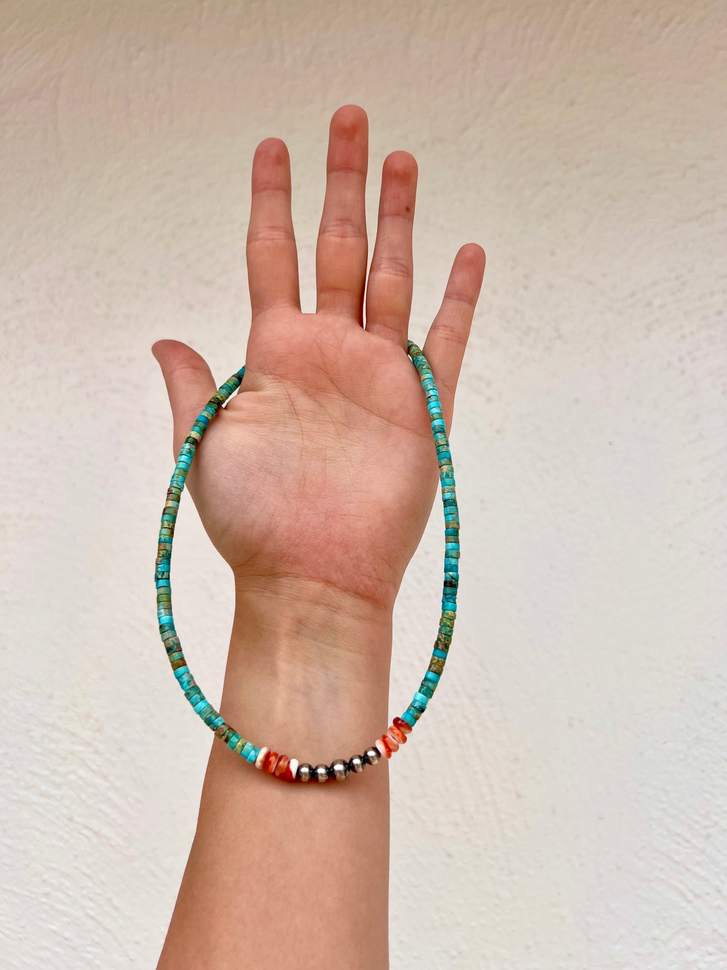 Sterling Spiny Oyster