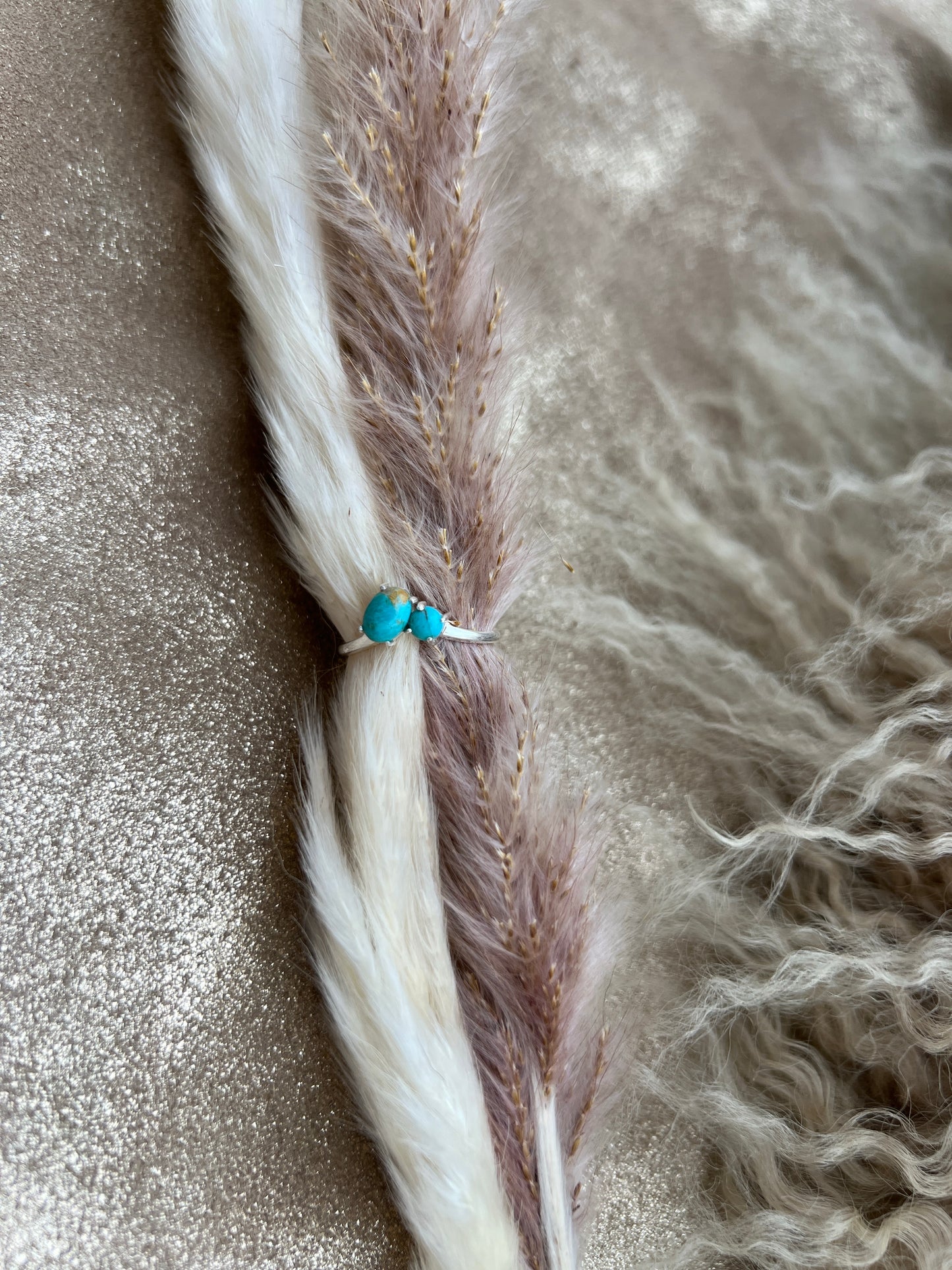 Two Stone Turquoise and Silver