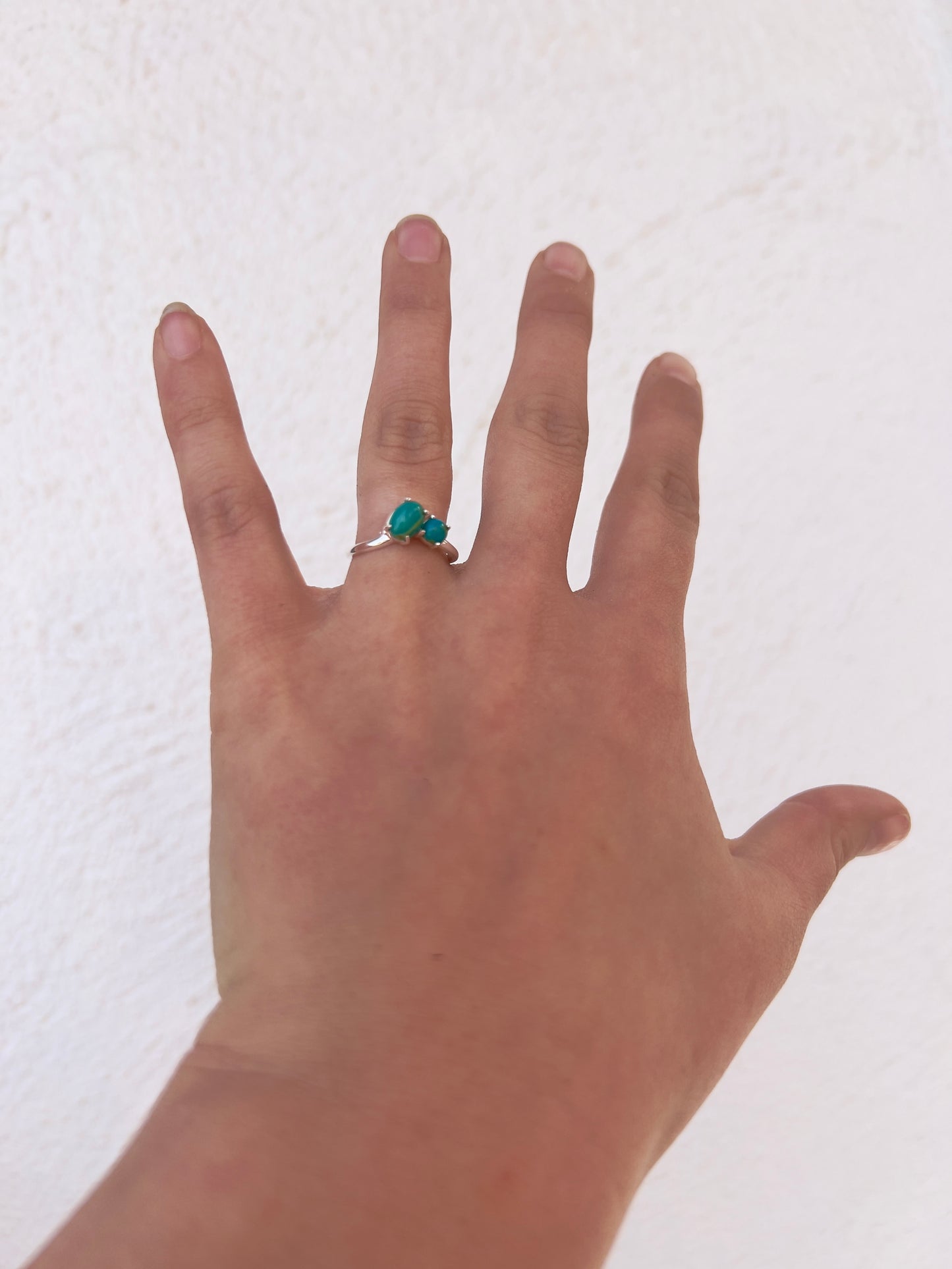 Two Stone Turquoise and Silver