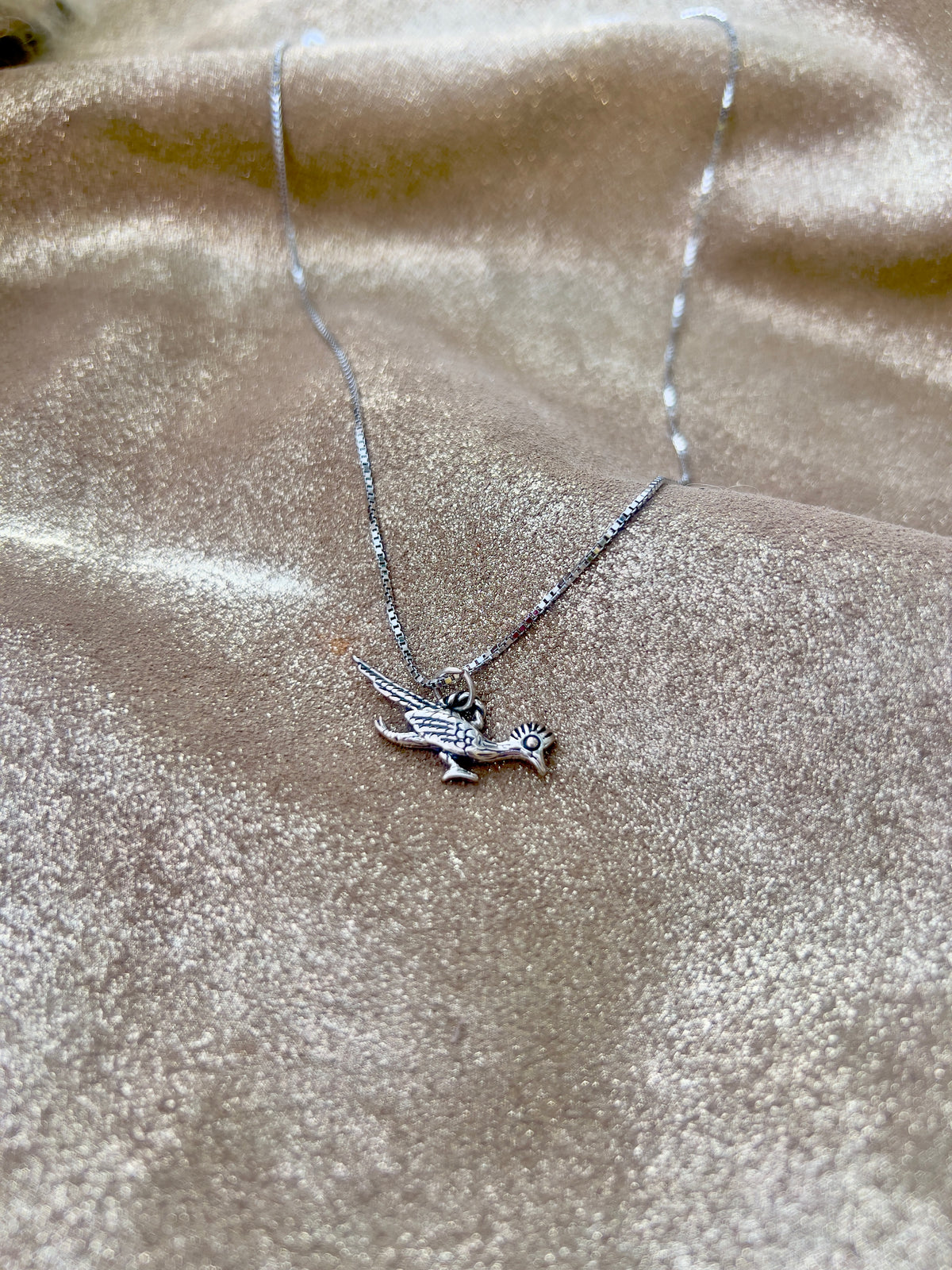 Road Runner Charm Necklace