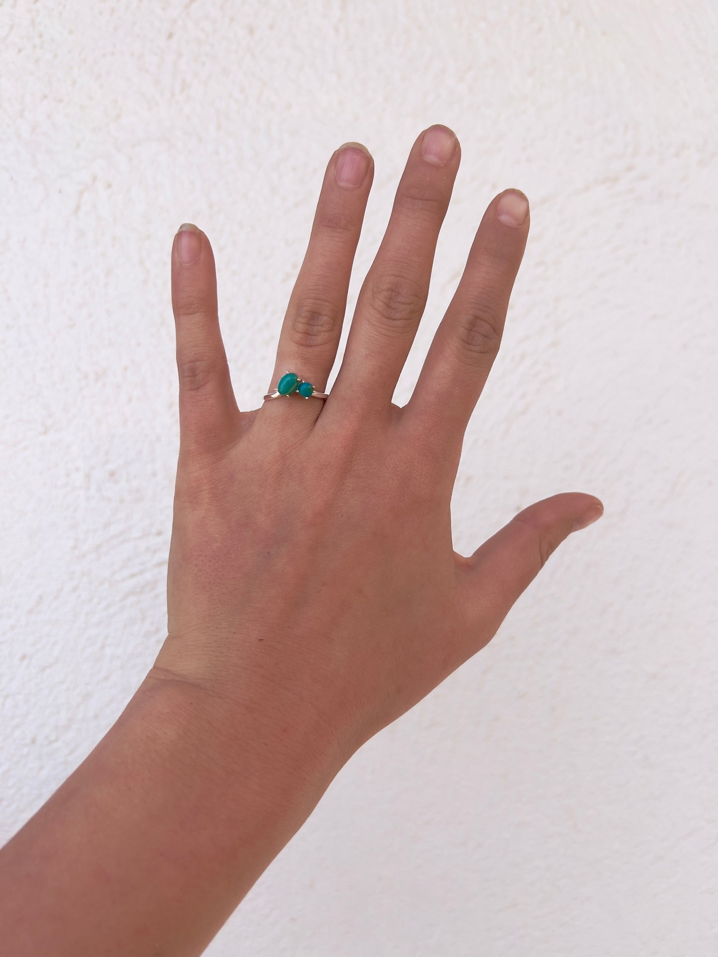 Two Stone Turquoise and Silver