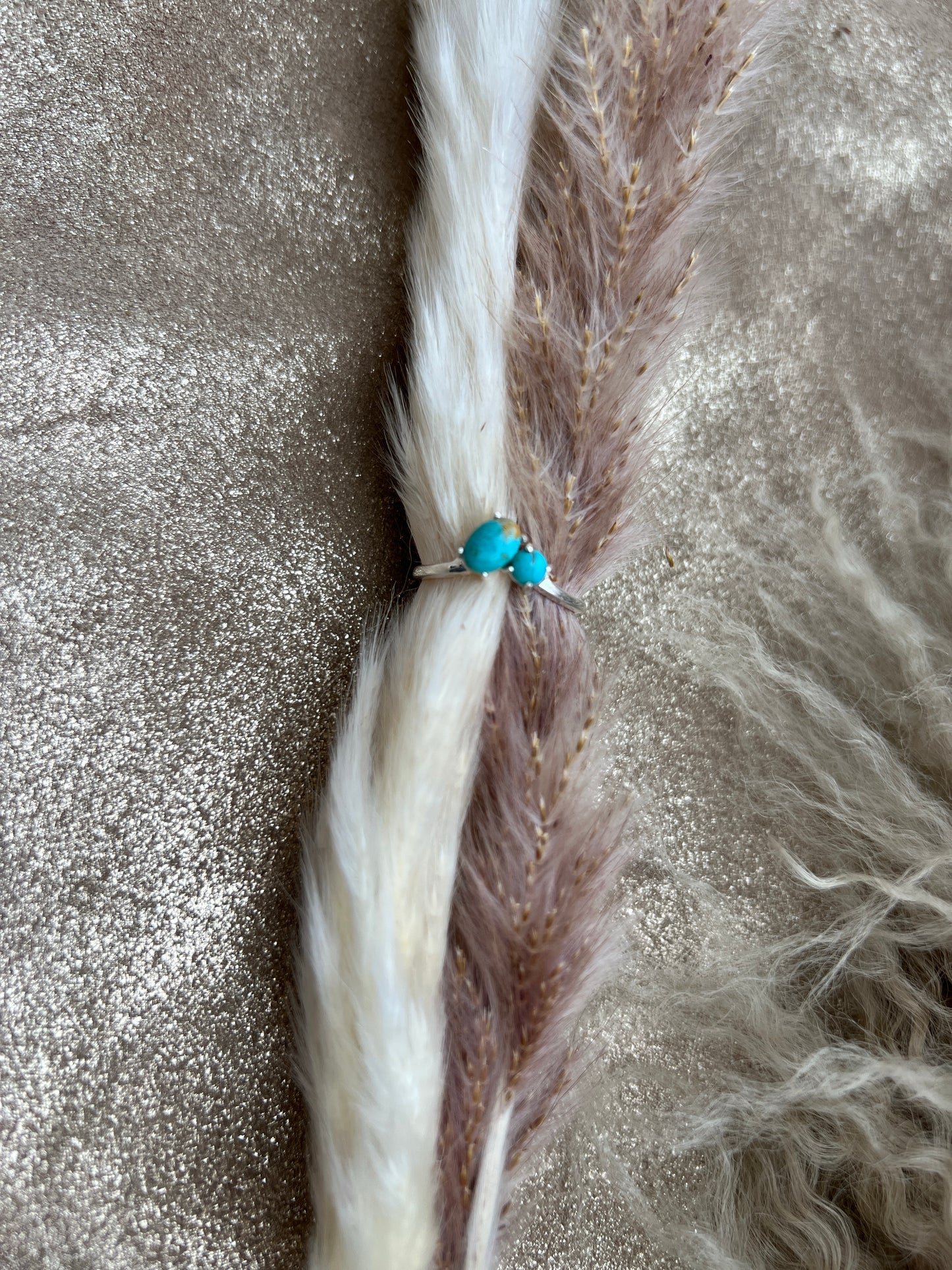 Two Stone Turquoise and Silver