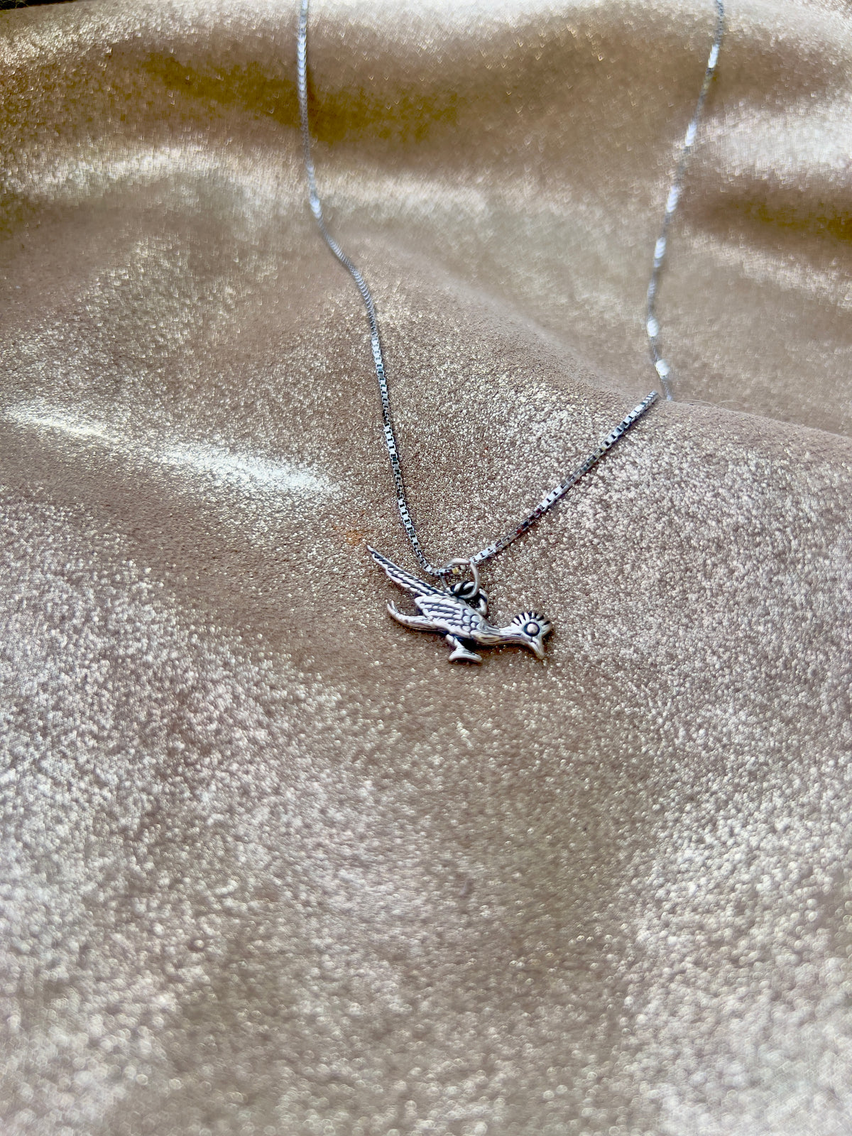 Road Runner Charm Necklace
