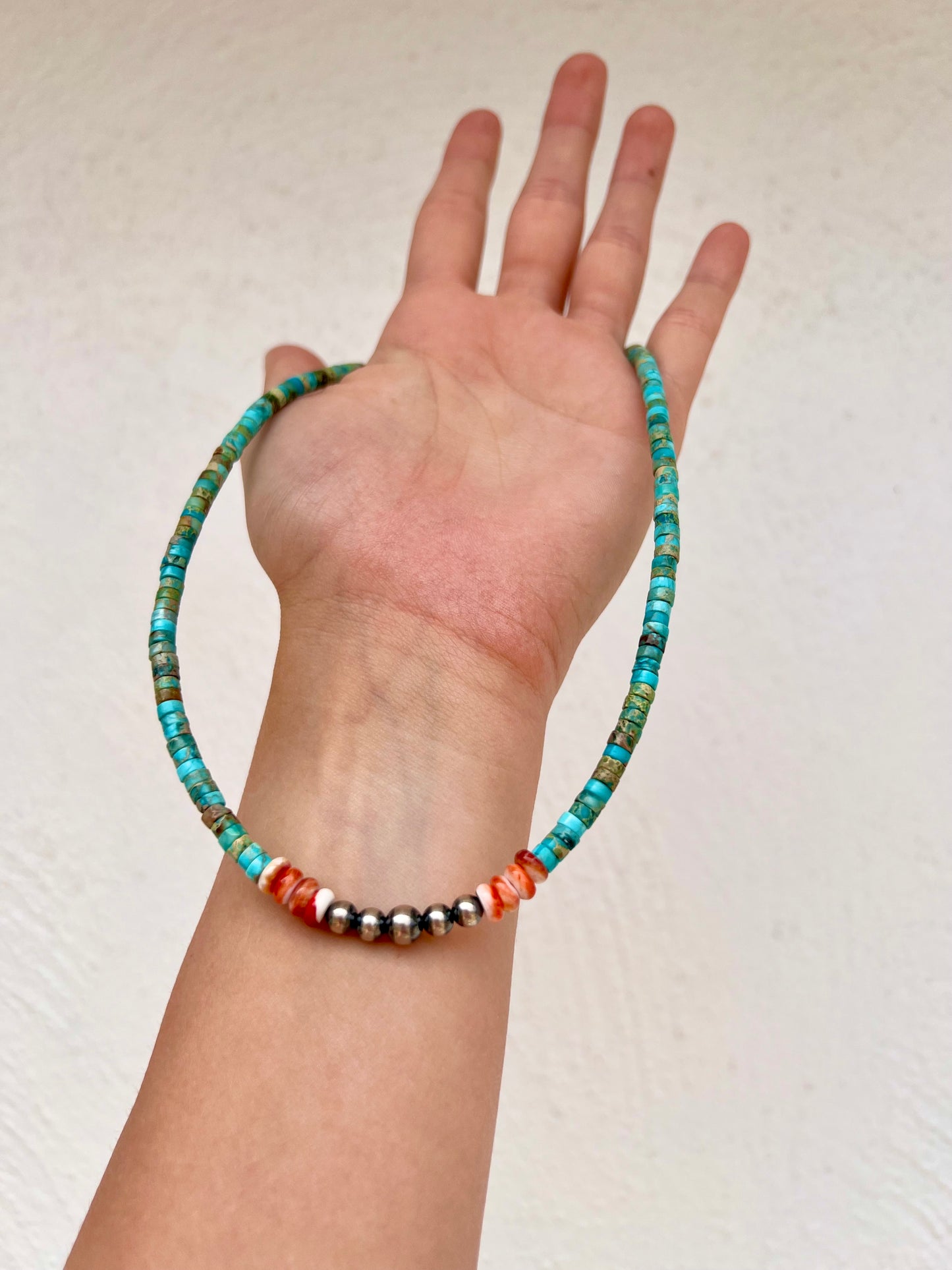 Sterling Spiny Oyster