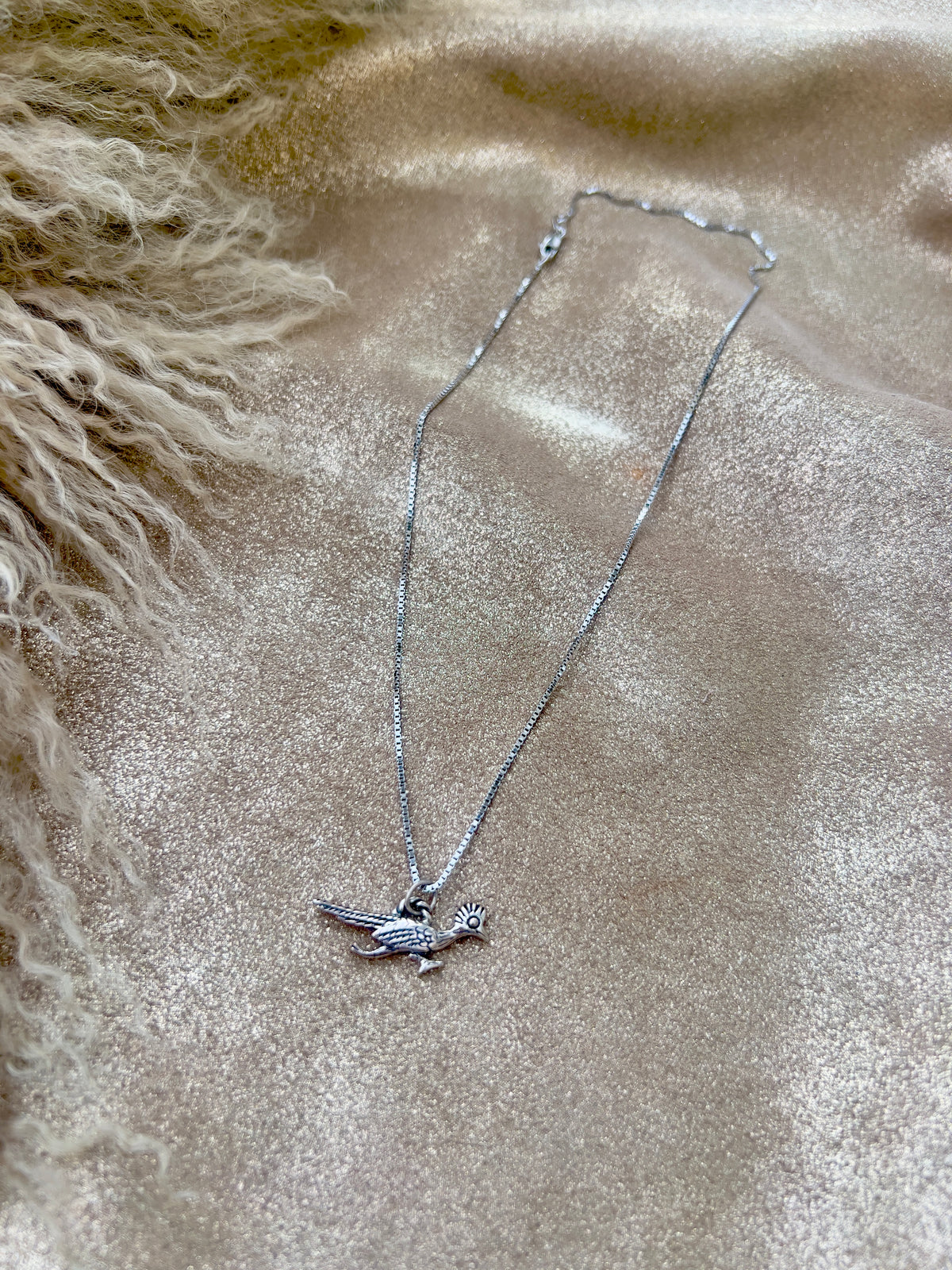 Road Runner Charm Necklace